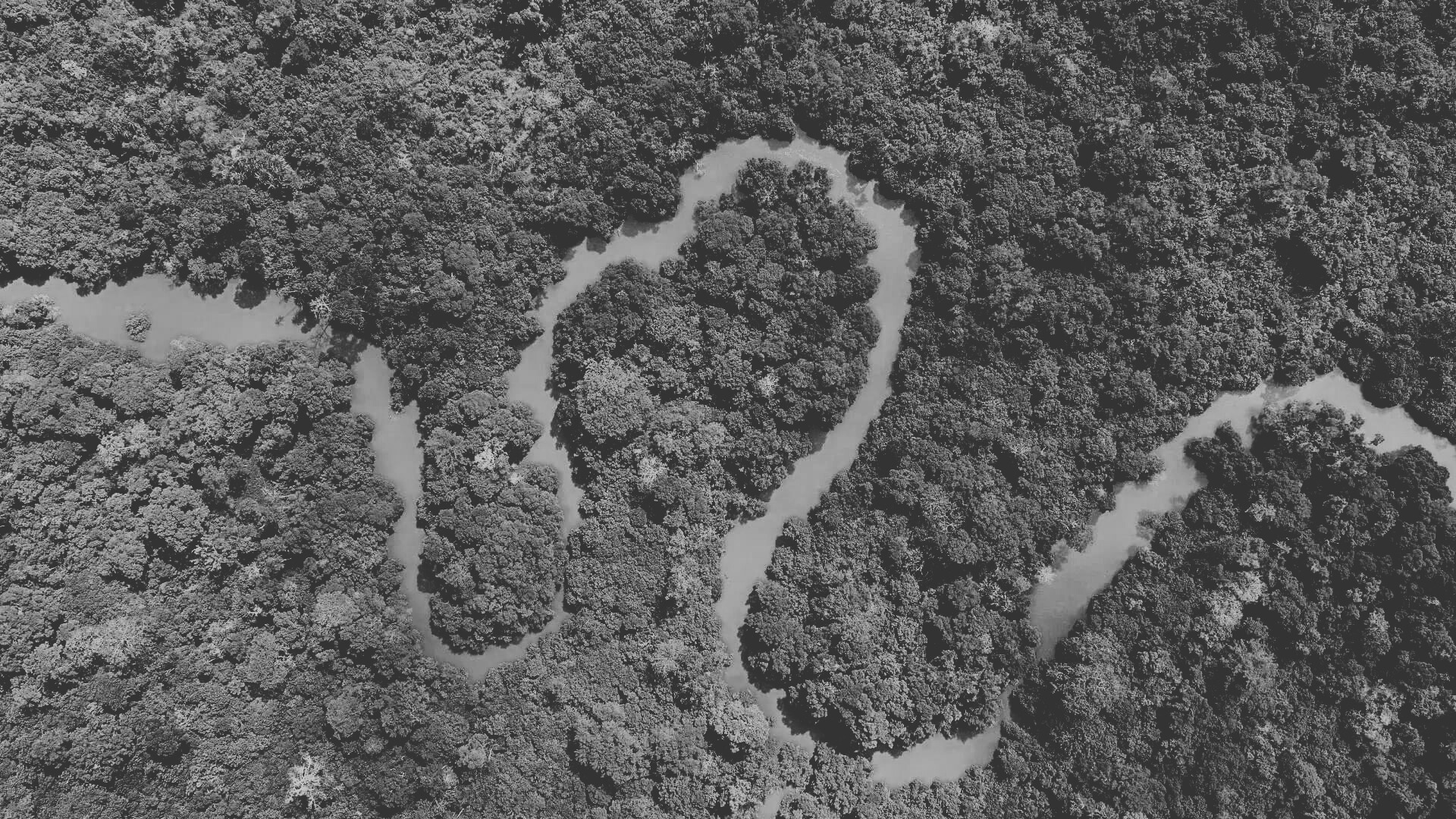 Site d'exploitation minière en République Démocratique du Congo